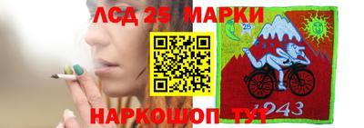гашик Новодвинск