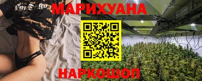 гашик Новокубанск