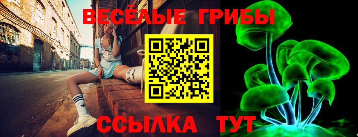 Ревда  Галлюциногенные грибы прущие грибы  Вход с VPN 