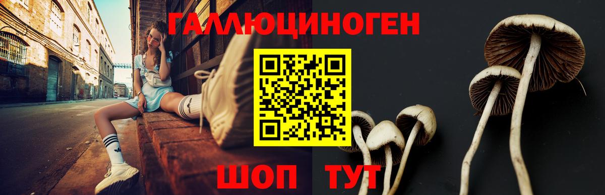 Галлюциногенные грибы MAGIC MUSHROOMS Ревда